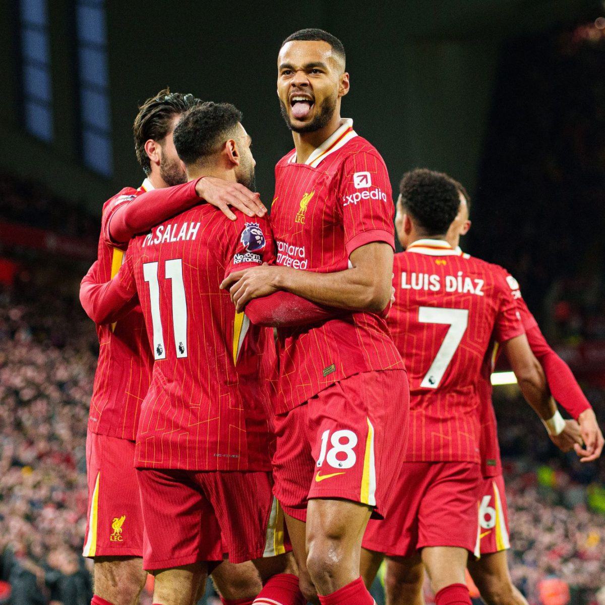 Newcastle x Liverpool Palpites, Apostas e Escalações