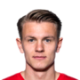 Kornvig, Emil
