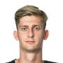 Macek, Roman