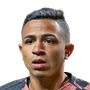 Henrique, Luiz