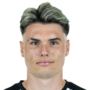 Kolle, Niklas