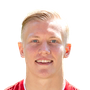 Virtanen, Miko
