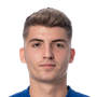 Emini, Lorik