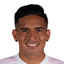 Ulloa, Victor
