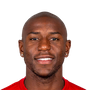 Afobe, Benik