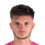 Sarkic, Matija