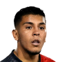 Collao, Marco