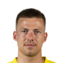 Van Den Buijs, Dario