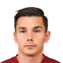 Hoban, Ovidiu
