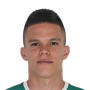 Pacheco Mejia, Walmer