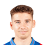 Stavitski, Timo