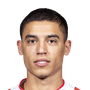Rodriguez Ferrari, Guzman