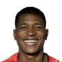Guisao, Wilder