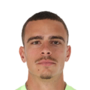 Tzanev, Nikola
