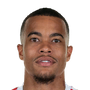Quaison, Robin