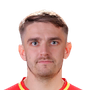 Cernych, Fedor