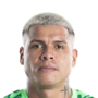 Campos Turriarte, Angelo Ademir