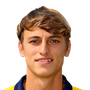 Beltrame, Stefano