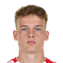 Liesegang, Marius