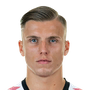 Demirovic, Ermedin