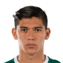 Arteaga, Gerardo