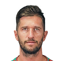Pettinari, Stefano