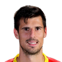 Mitrovic, Nemanja
