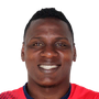 Canga, Ginson