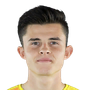 Niemczycki, Karol