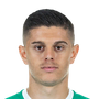 Rashica, Milot