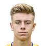 van Dessel, Stan