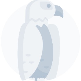 Adlerauge
