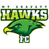 Mt. Gravatt Hawks FC