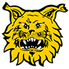 Tampereen Ilves 2