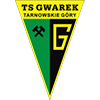 TS Gwarek