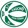 Gaucho RS