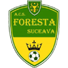 Foresta Suceava