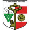 TJ Tatran Bohunice
