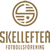 Skelleftea FF