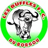 Buffles de Borgou FC