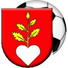 FK Buzitka