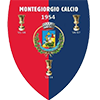 FC Montegiorgio