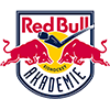 Red Bull Juniors
