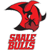 Saale Bulls Halle
