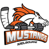 Melbourne Mustangs