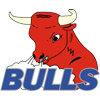 Dudingen Bulls