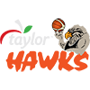 Hawke's Bay Hawks