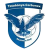 Tatabanya Carbonex KC
