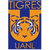 Tigres UANL Sub20