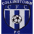 Collinstown FC